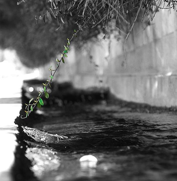 جوی آب