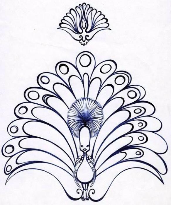 peacock-flower   گل طاووسی ختایی