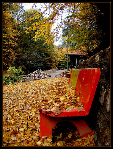 http://www.negarkhaneh.ir/UserGallery/2013/7/hb_usefi_22105134.jpg